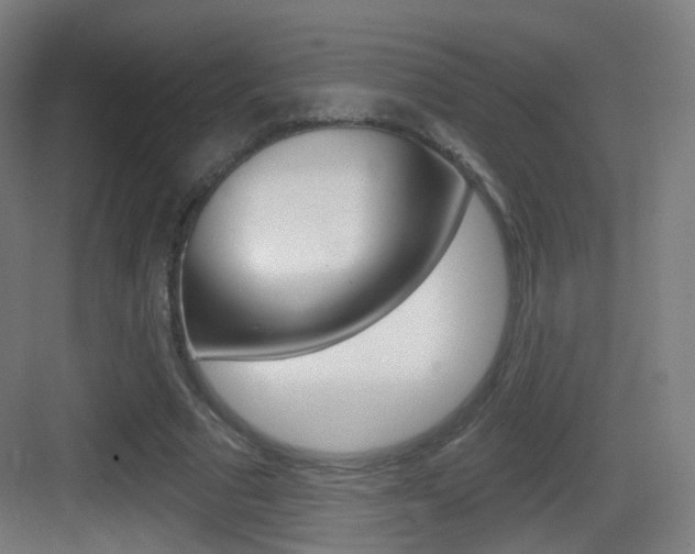 X0000083530681200702090720