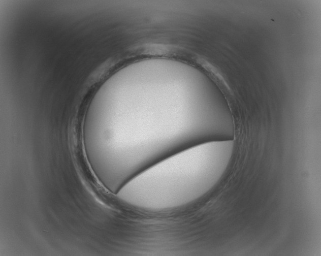 X0000083530682200702090720