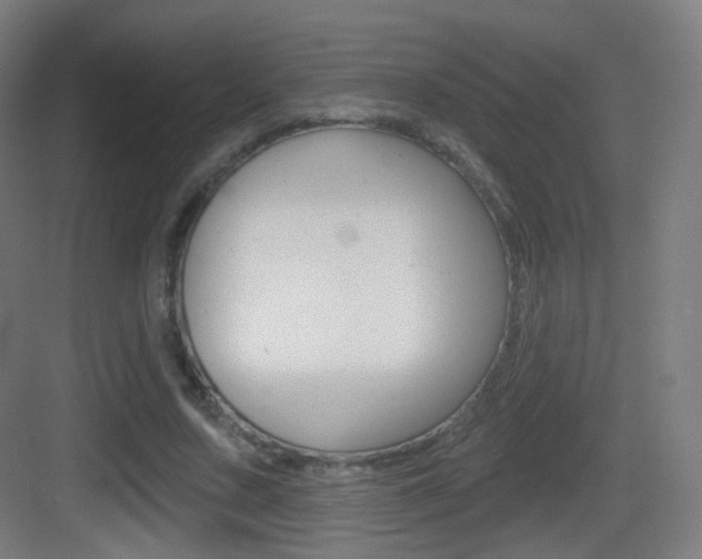 X0000083530683200702090720
