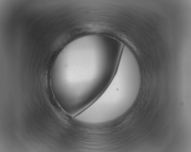 X0000083530685200702090720