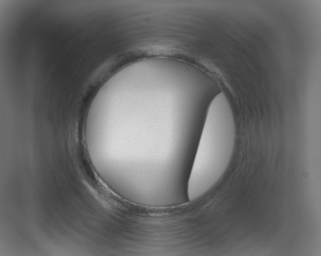 X0000083530686200702090720
