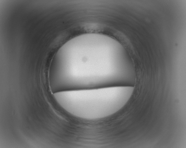 X0000083530690200702090720