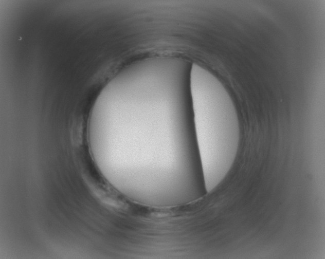 X0000083530694200702090720