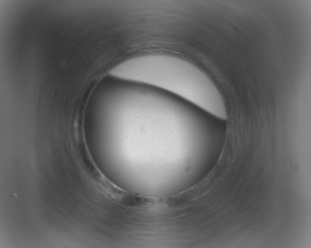 X0000083530696200702090720