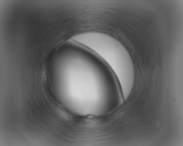 X0000083530697200702090720