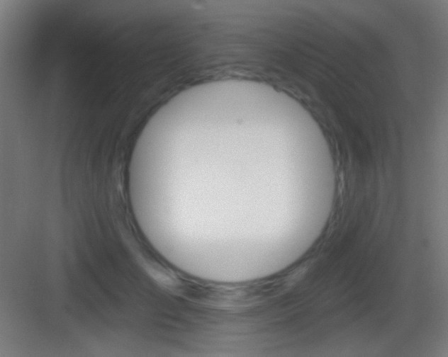 X0000083530701200702090720