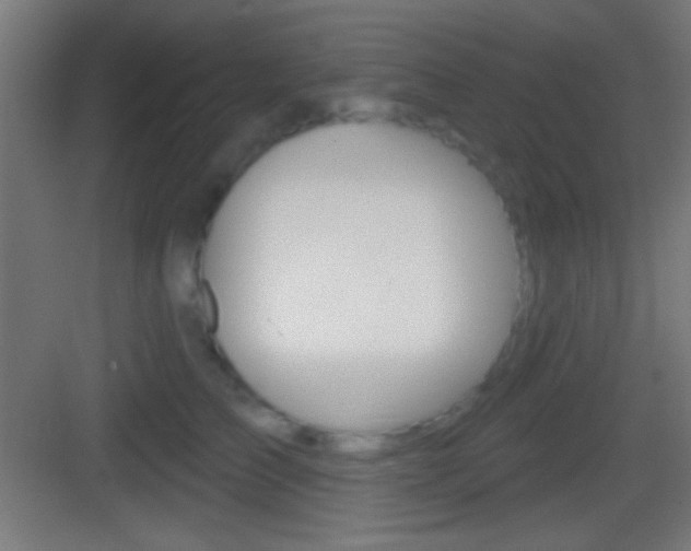 X0000083530709200702090720