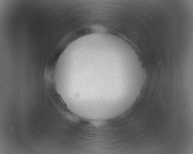 X0000083530713200702090720