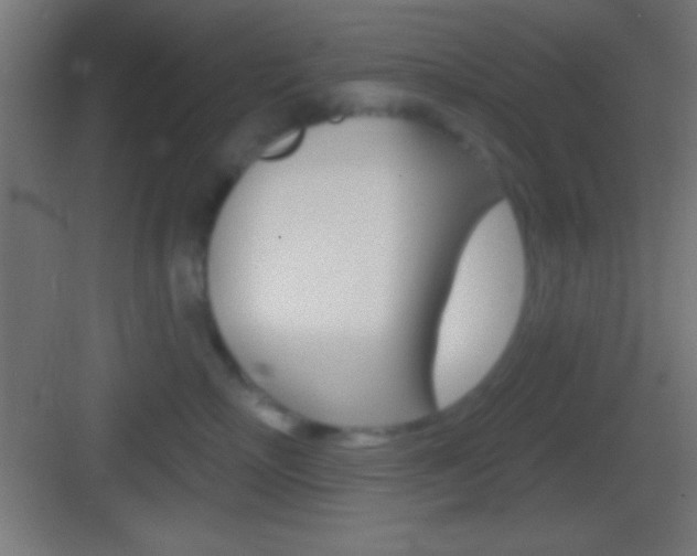 X0000083530718200702090720