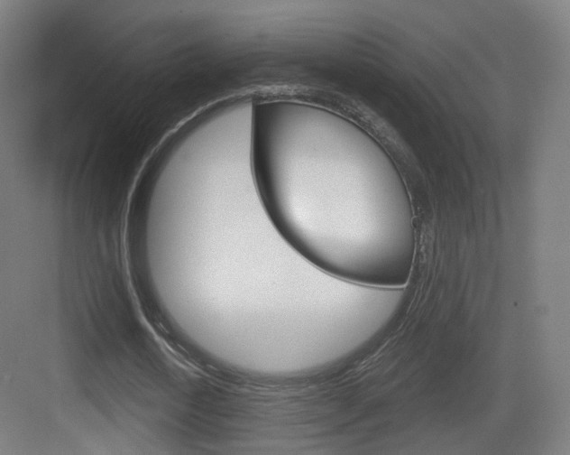 X0000083530722200702090719