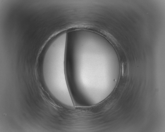 X0000083530723200702090719