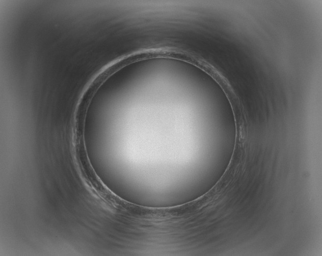 X0000083530724200702090719