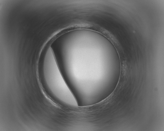 X0000083530726200702090719