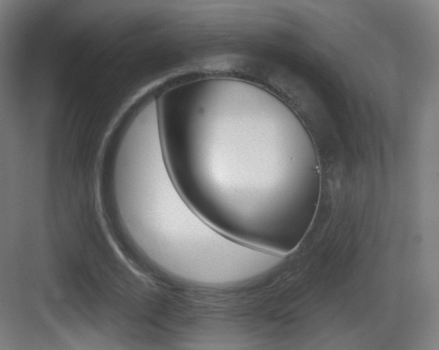 X0000083530728200702090719