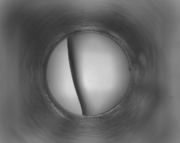 X0000083530729200702090719
