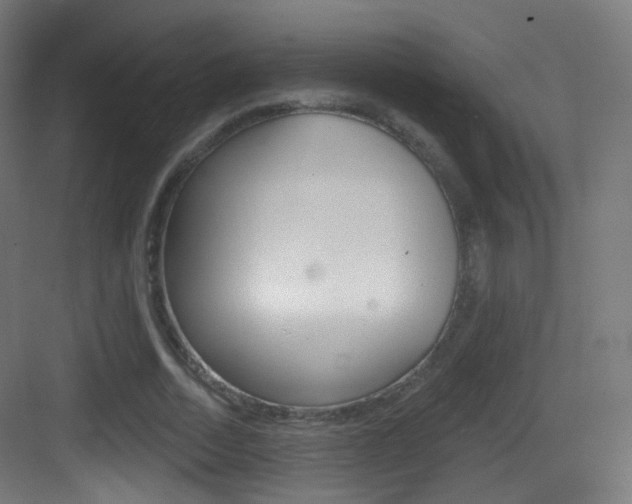 X0000083530730200702090719