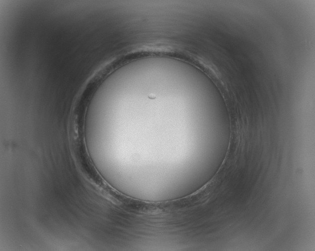 X0000083530731200702090719