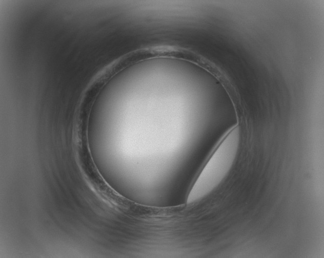 X0000083530732200702090719