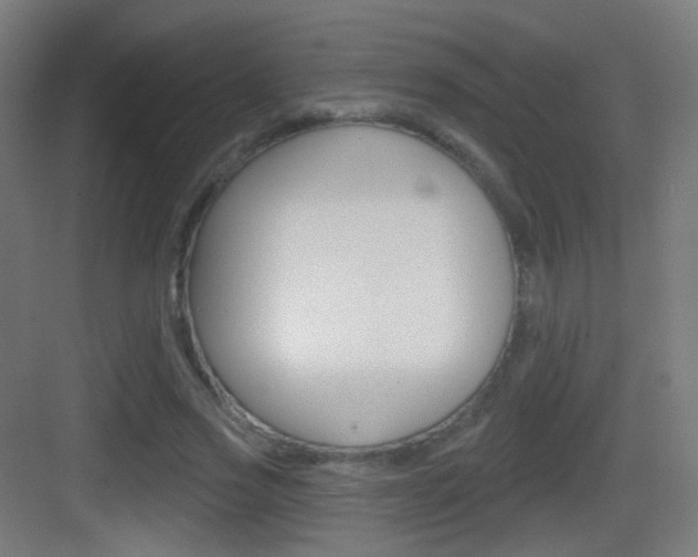 X0000083530733200702090719