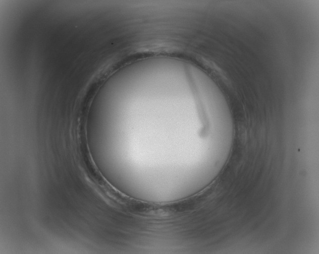 X0000083530735200702090719