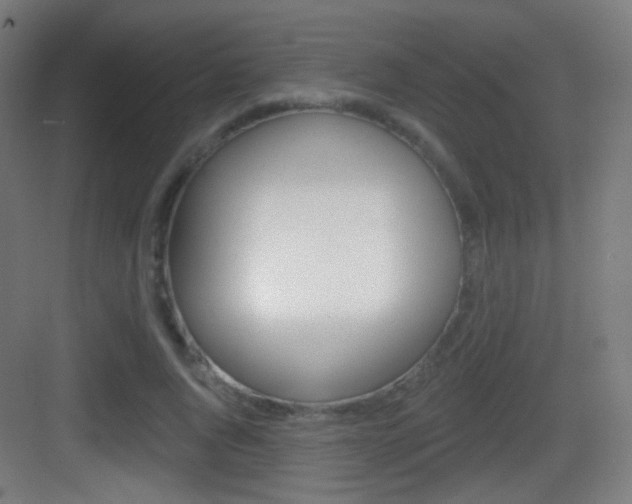 X0000083530736200702090719