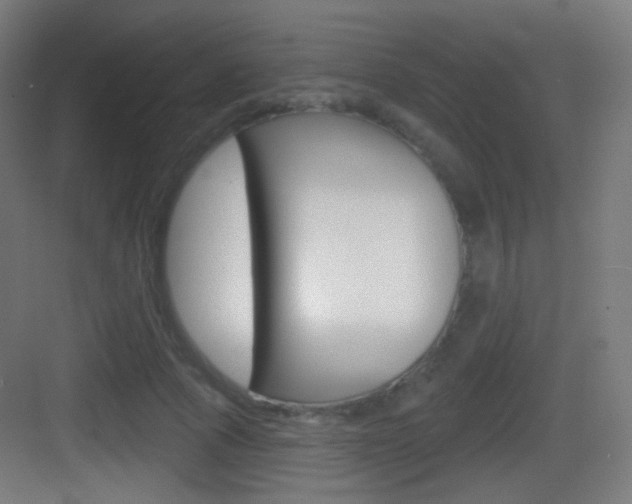 X0000083530737200702090719