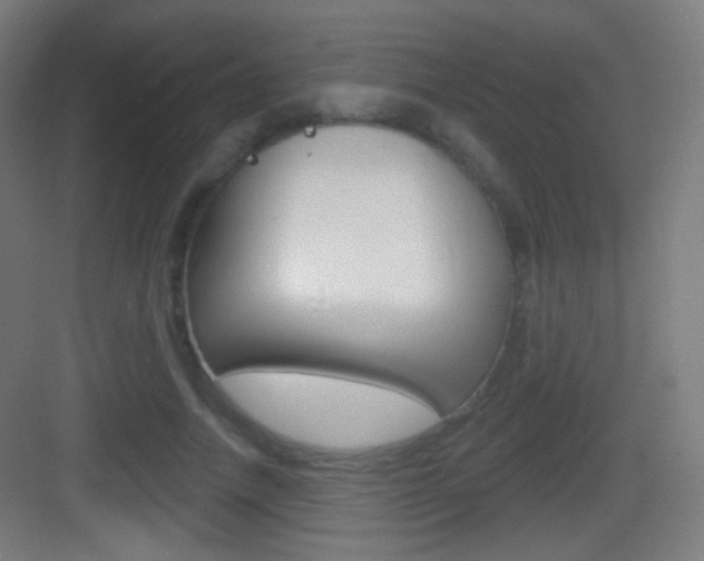 X0000083530738200702090719