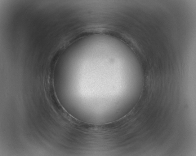 X0000083530739200702090719