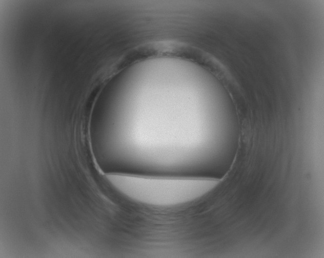 X0000083530740200702090719