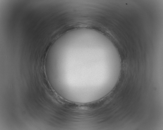 X0000083530741200702090719