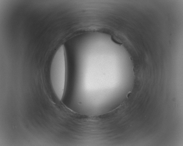 X0000083530743200702090719