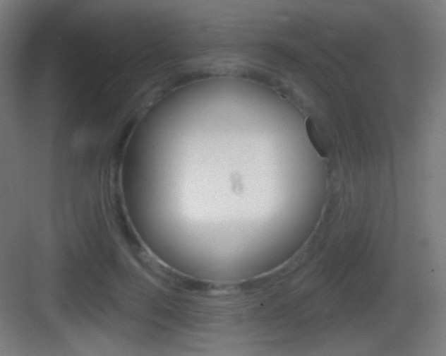 X0000083530744200702090719