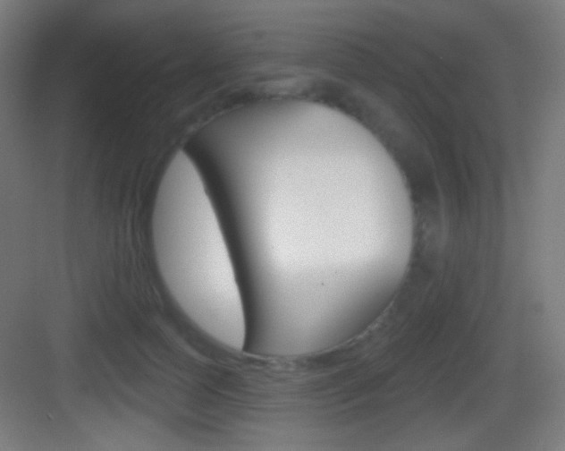 X0000083530745200702090719