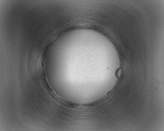 X0000083530746200702090719