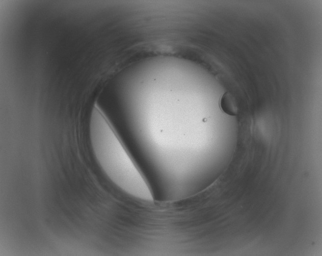 X0000083530747200702090719