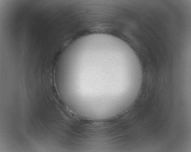 X0000083530749200702090719