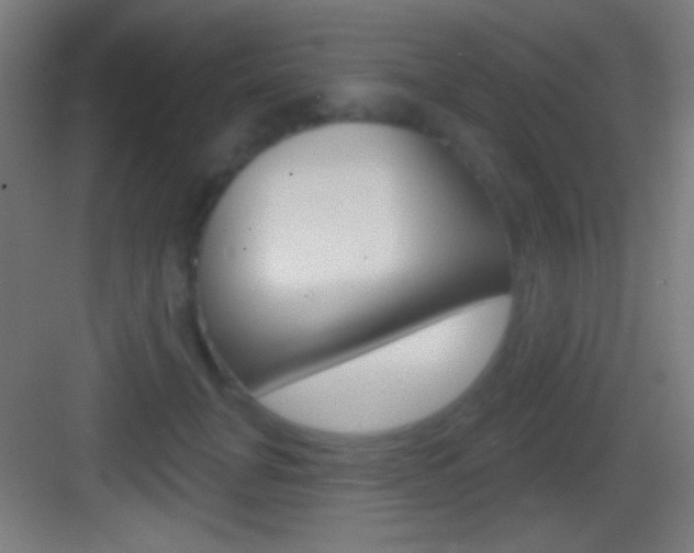 X0000083530751200702090720