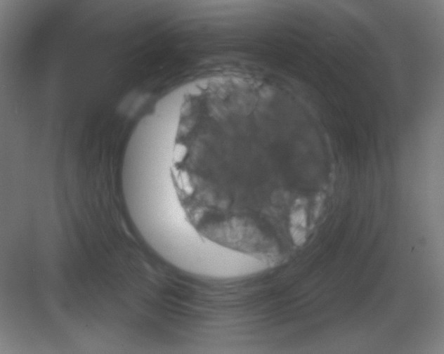 X0000083530753200702090720