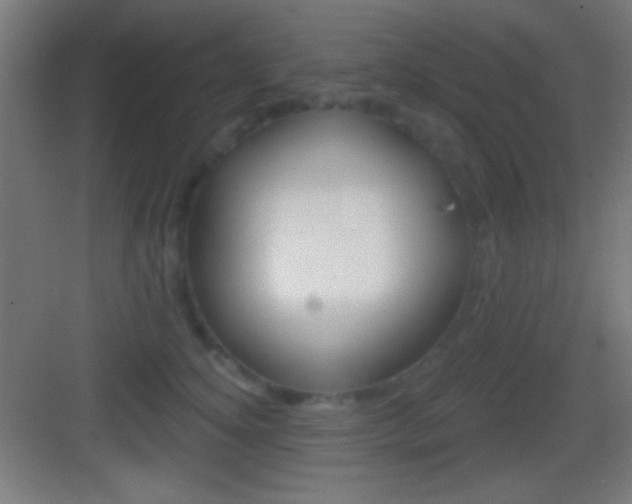 X0000083530756200702090720