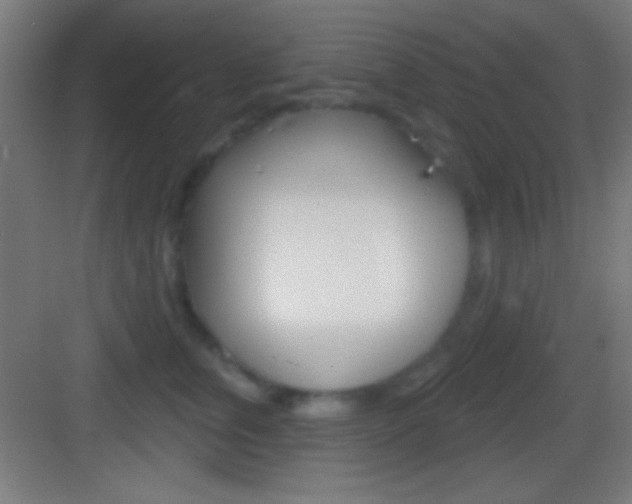 X0000083530759200702090720