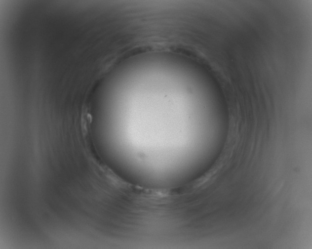 X0000083530768200702090720