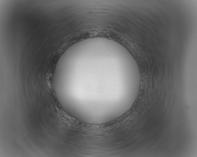 X0000083530770200702090719