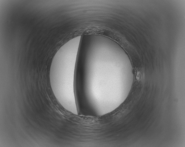 X0000083530771200702090719