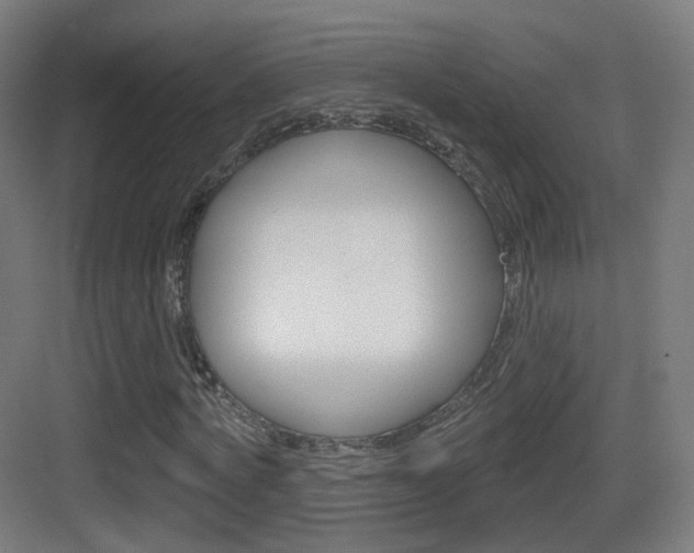 X0000083530772200702090719