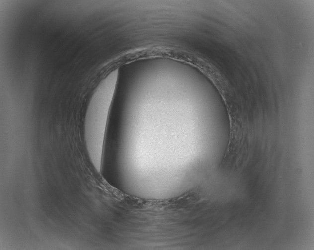 X0000083530773200702090719