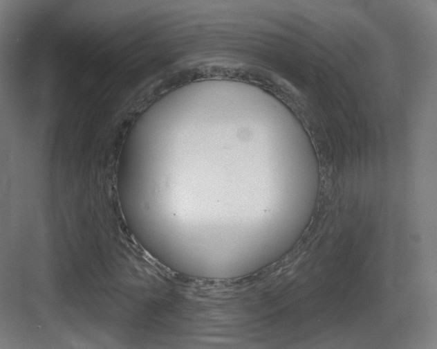 X0000083530774200702090719