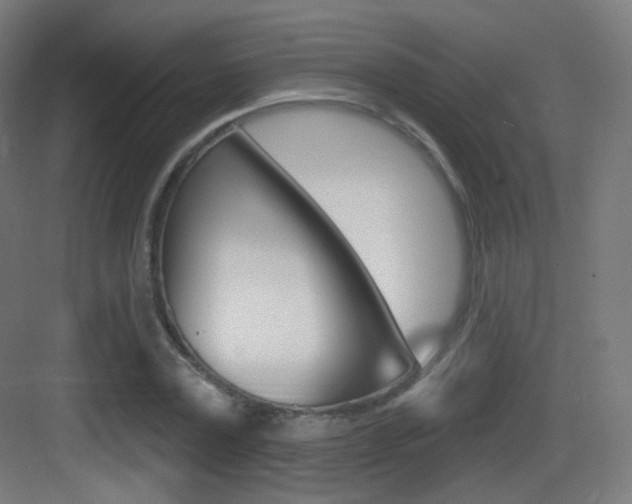 X0000083530779200702090719