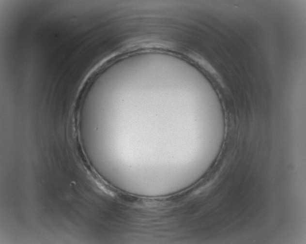 X0000083530782200702090719