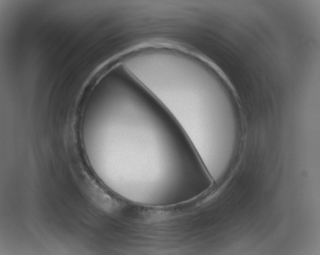 X0000083530783200702090719