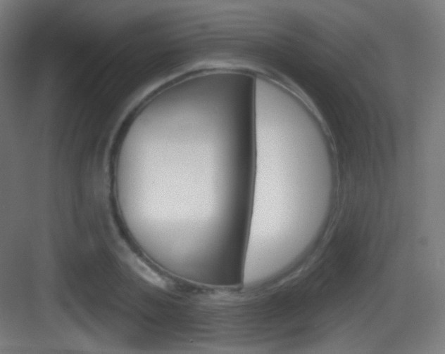 X0000083530787200702090719